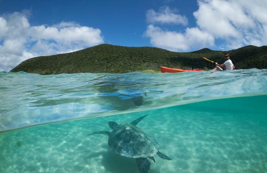 Lord Howe Island 아라질라 리트리트 빌라 외부 사진
