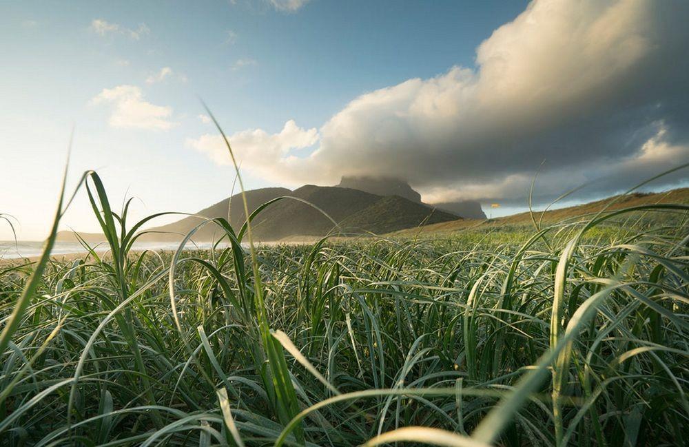 Lord Howe Island 아라질라 리트리트 빌라 외부 사진